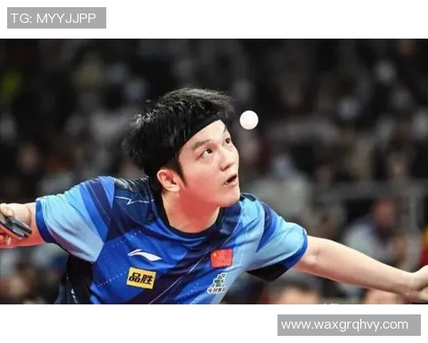 樊振东12月赛程紧凑勒布伦兄弟模仿让王楚钦尴尬不已